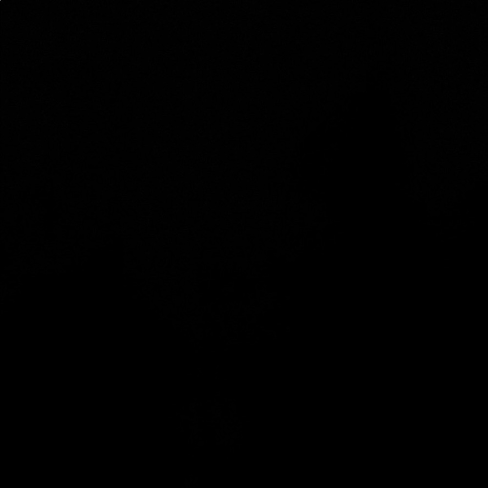 Meet your Posher, Benjamin